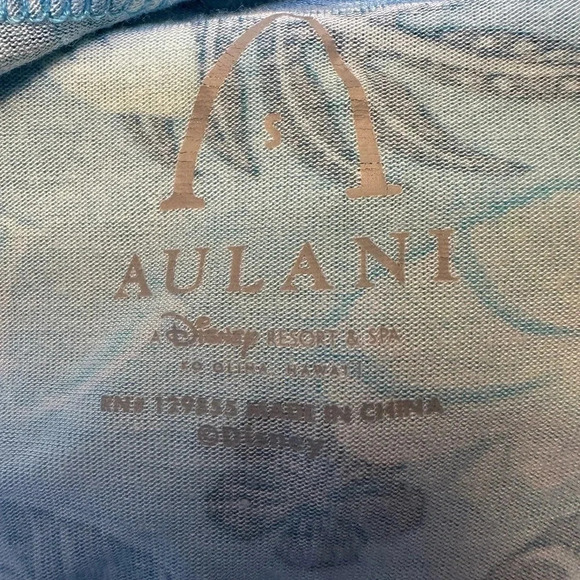 Disney Aulani Hawaiian tank. Created especially for Aulani, Disney Resort & Spa - Picture 4 of 5